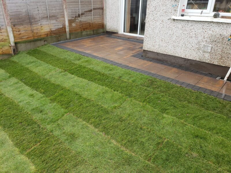 Lawn Turfing
